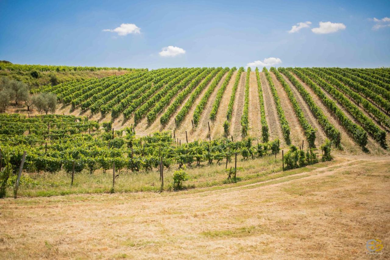 Terre Di Melazzano - Le Case Di Patrizia Greve in Chianti Exterior photo