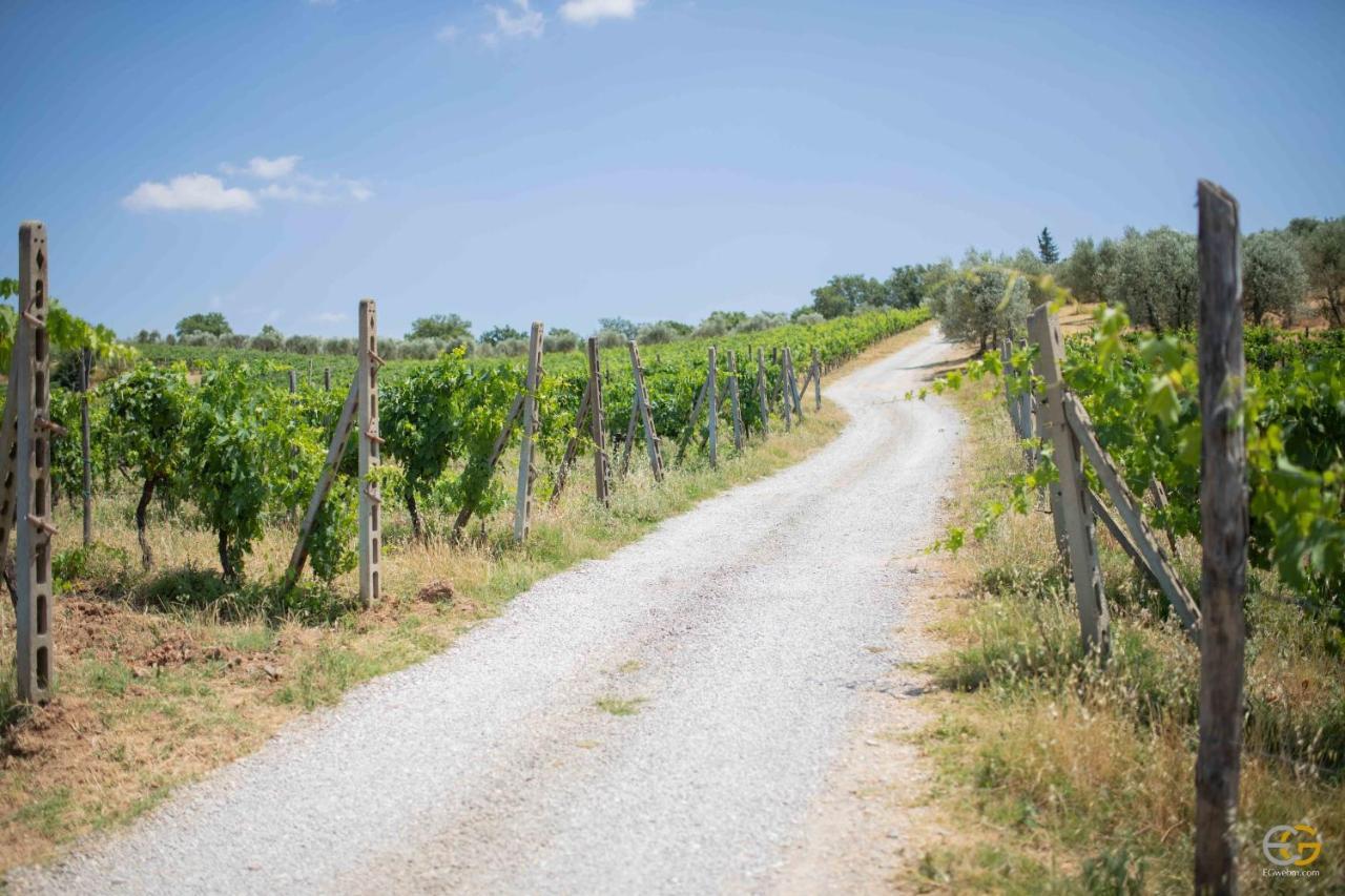 Terre Di Melazzano - Le Case Di Patrizia Greve in Chianti Exterior photo