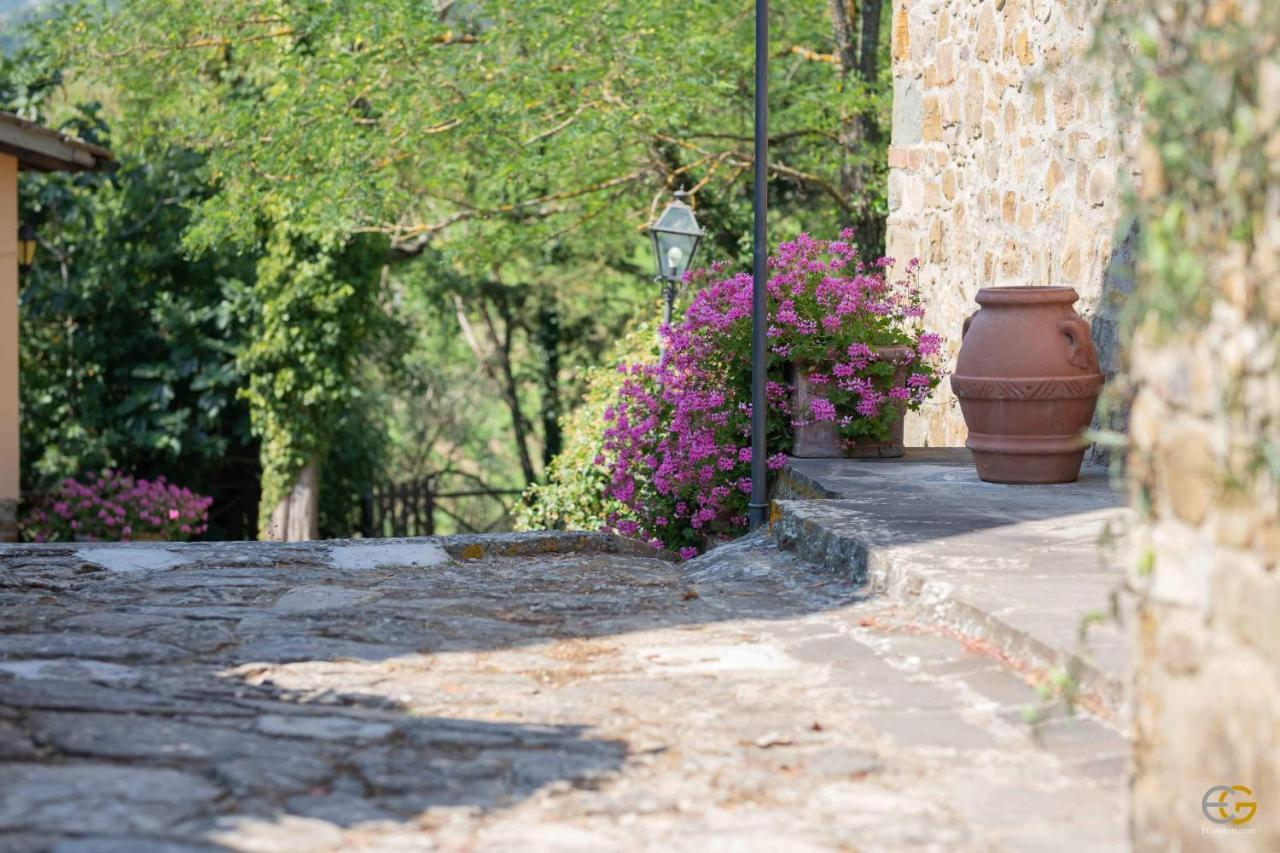 Terre Di Melazzano - Le Case Di Patrizia Greve in Chianti Exterior photo