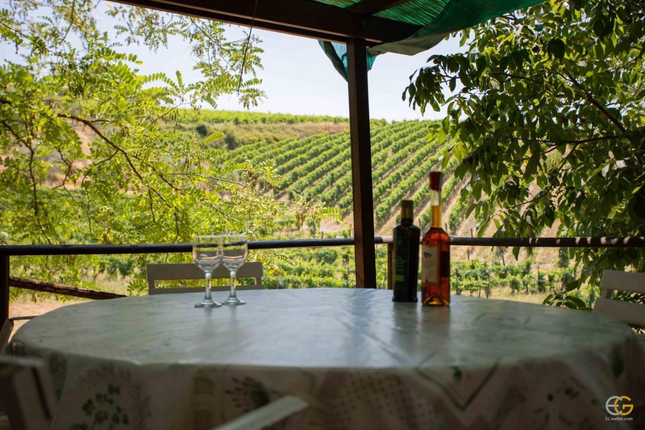 Terre Di Melazzano - Le Case Di Patrizia Greve in Chianti Exterior photo
